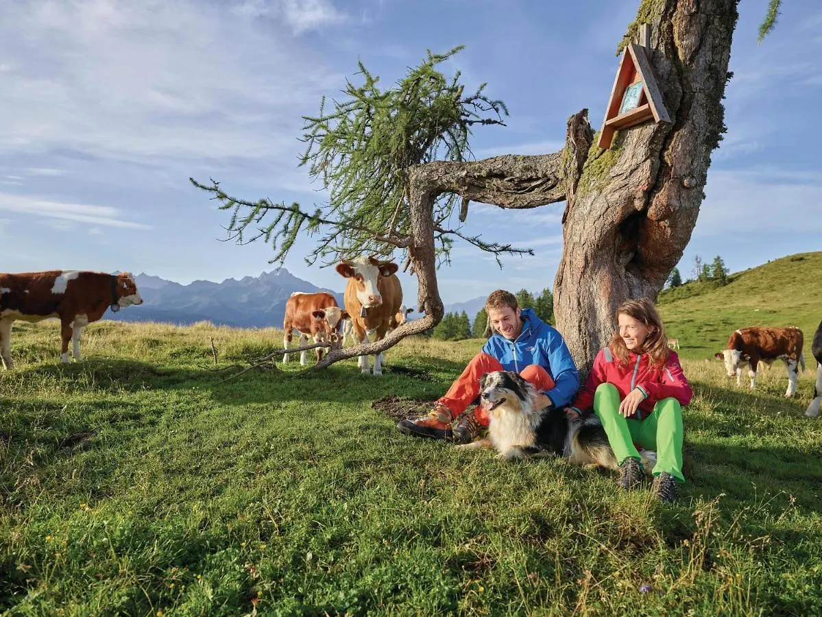 Super Central City Appartement With Free Parking Innsbruck Österreich